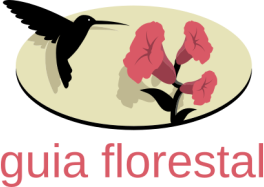 Guia Florestal