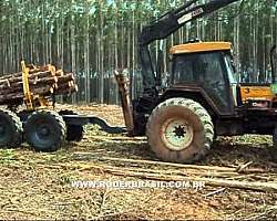 Carreta agrícola basculante de madeira