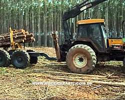 Mini skidder