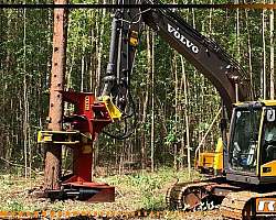 Preço cabeçote florestal para máquinas