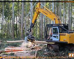 Cabeçote florestal para tratores preço Cabeçote florestal para tratores preço