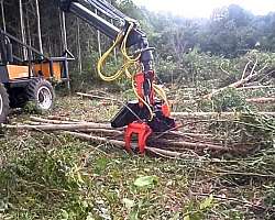 Cabeçote florestal para maquinas