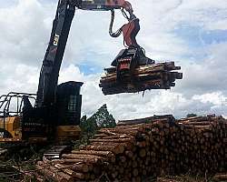 Cabeçote harvester a venda