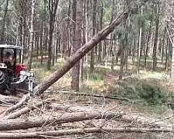 Venda pinça florestal para máquinas