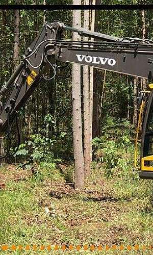 Cabeçote colheita florestal  Cabeçote colheita florestal