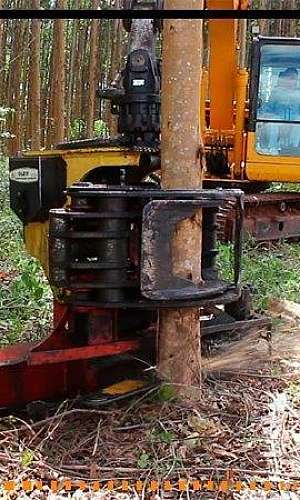 Cabeçote florestal Cabeçote florestal