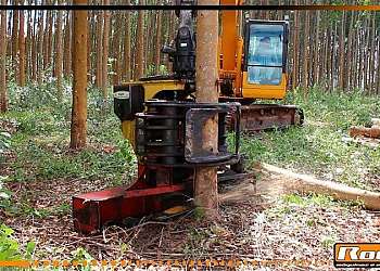 Cabeçote florestal para maquinas