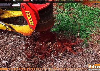 Destocador de eucalipto Destocador de eucalipto