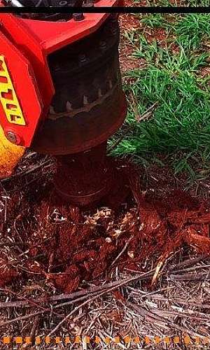 Destocador de eucalipto Destocador de eucalipto