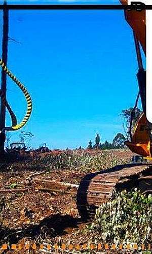 Destocador de troncos Destocador de troncos