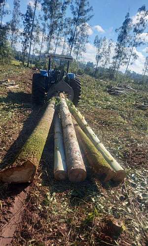 equipamentos florestais