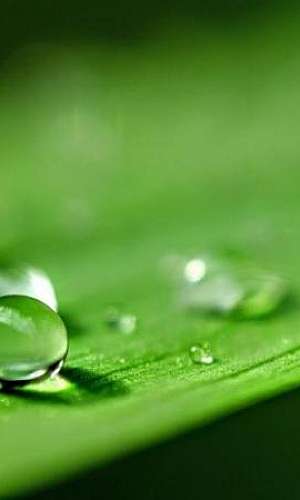 Espessante agrícola Espessante agrícola