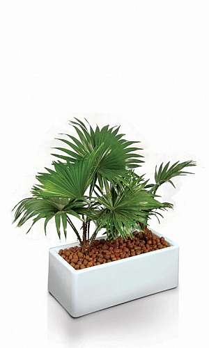 Floreira Vertical de Ferro  Floreira Vertical de Ferro