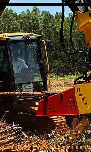 Garra florestal comprar Garra florestal comprar