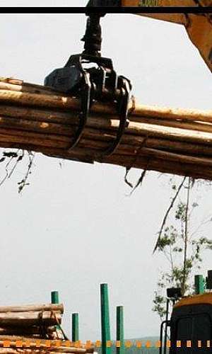 Garra florestal para escavadeira Garra florestal para escavadeira