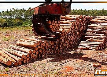Garras de máquinas para floresta