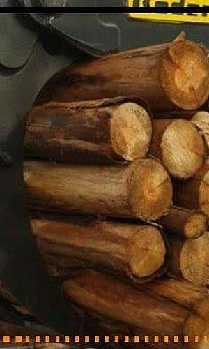 Garra traçadora Garra traçadora