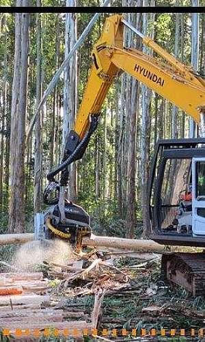 Harvester florestal Harvester florestal