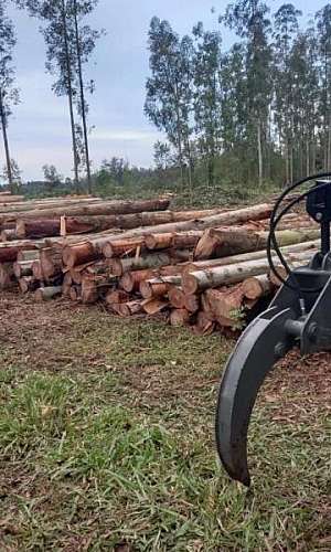 mini skidder florestal