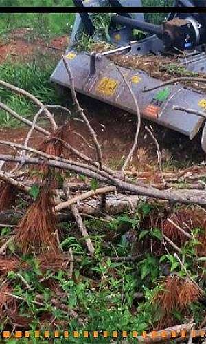 Triturador florestal para trator Triturador florestal para trator